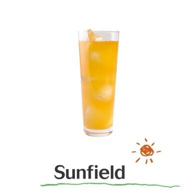 三田飲料 オレンジエード 紙パック 1000ml 業務用 カクテル スムージー | Sunfield | 01