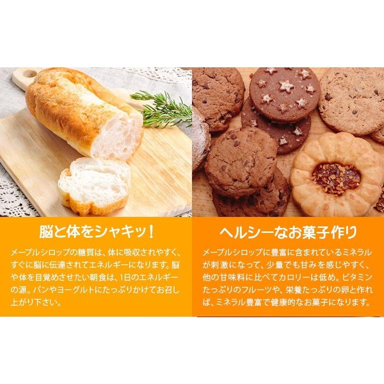 メープルトリート MAPLETREAT ピュアメープルシロップ 332g カナダ産 |  | 01