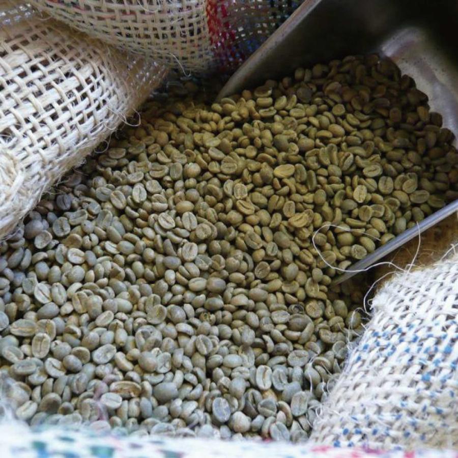 アラビカコーヒー生豆 コロンビア エクセルソ Colombia Excelso 8kg 自家焙煎_2