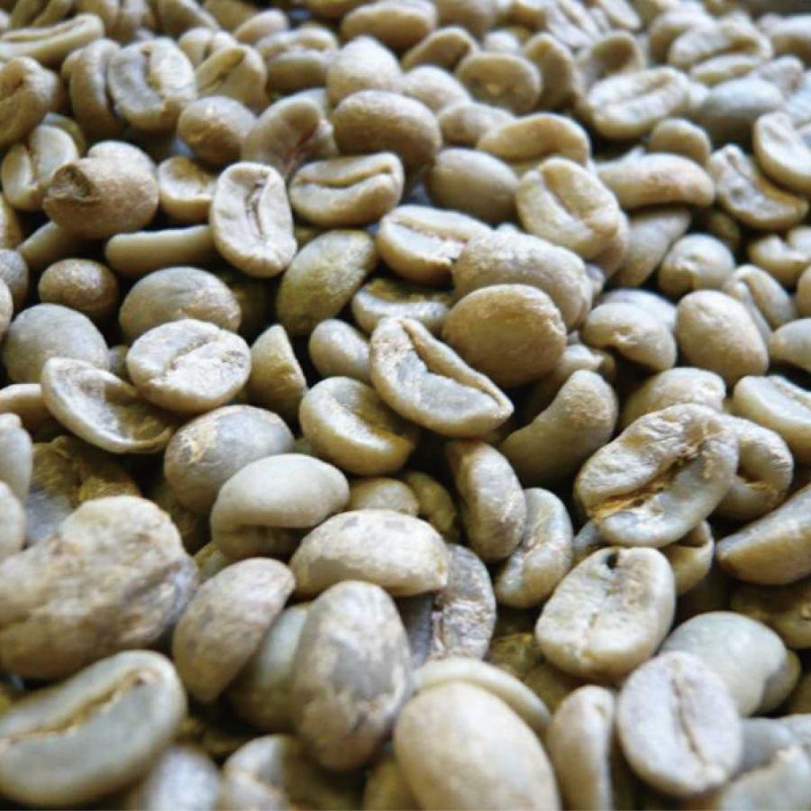 アラビカコーヒー生豆 コロンビア エクセルソ Colombia Excelso 8kg 自家焙煎_3