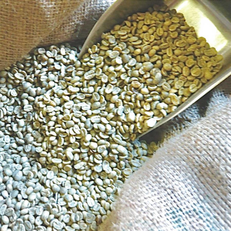 アラビカコーヒー生豆 グアテマラ SHB Guatemala SHB 200g 自家焙煎 | CLASSICAL COFFEE ROASTER | 01