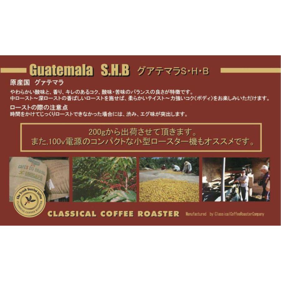 アラビカコーヒー生豆 グアテマラ SHB Guatemala SHB 200g 自家焙煎 | CLASSICAL COFFEE ROASTER | 03