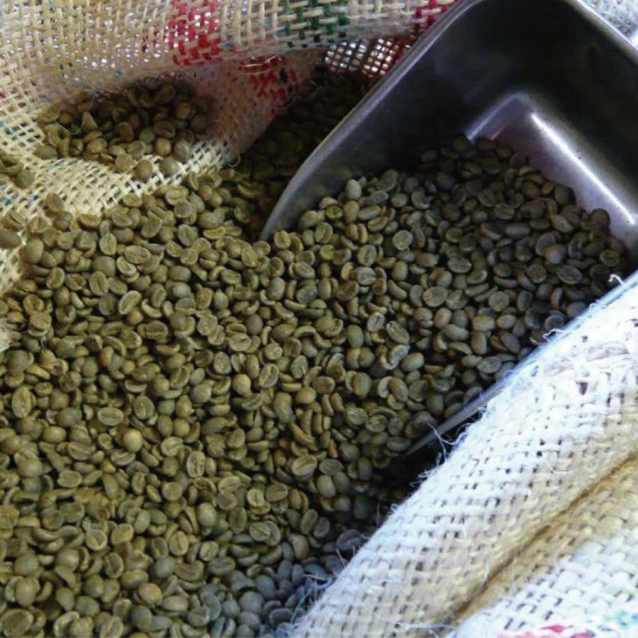 アラビカコーヒー生豆 コロンビア スプレモ Colombia Supremo 5kg 自家