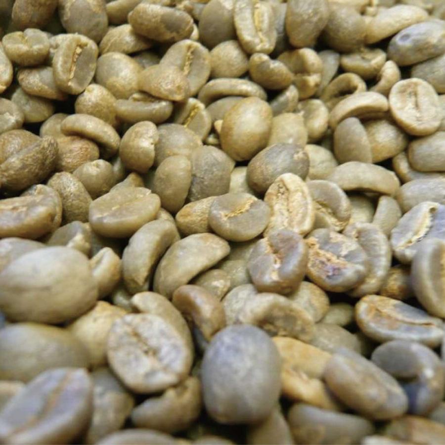 アラビカコーヒー生豆 コロンビア スプレモ Colombia Supremo 5kg 自家
