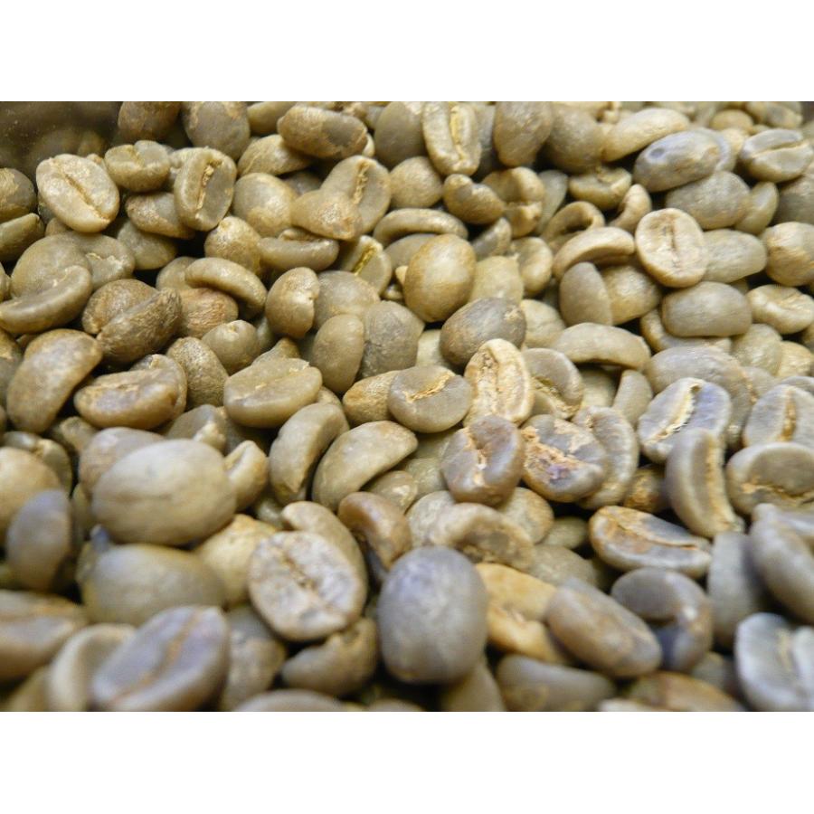 自家焙煎 アラビカコーヒー生豆 コロンビア スプレモ 500ｇ Colombia Supremo 500g｜classicalcoffee｜02