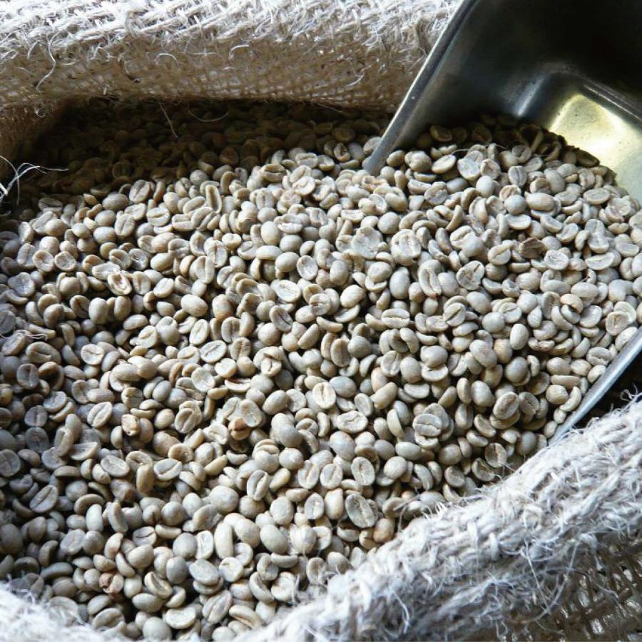 アラビカコーヒー生豆 タンザニア AA （キリマンジャロ）Tanzania AA 200g 自家焙煎 | CLASSICAL COFFEE ROASTER | 01