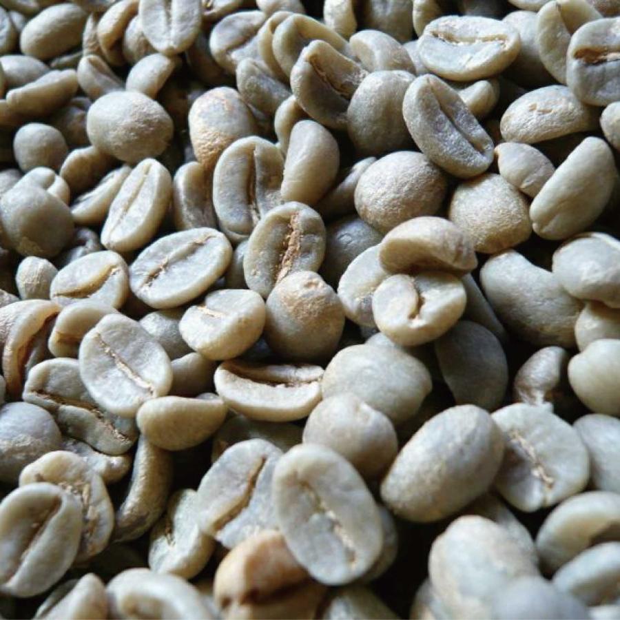 アラビカコーヒー生豆 タンザニア AA （キリマンジャロ）Tanzania AA 200g 自家焙煎 | CLASSICAL COFFEE ROASTER | 02