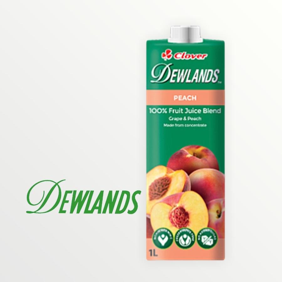 デュウランド ピーチジュース 1000ml トロピカルジュース 8110 Classical Coffee Roaster 通販 Yahoo ショッピング