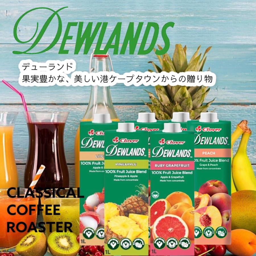 デュウランド ピーチジュース 1000ml トロピカルジュース 8110 Classical Coffee Roaster 通販 Yahoo ショッピング