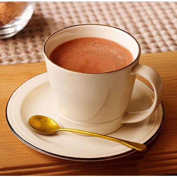 VAN HOUTEN バンホーテン リッチテイスト ココア 500ｇ ( 調整ココア ） | VAN HOUTEN | 02