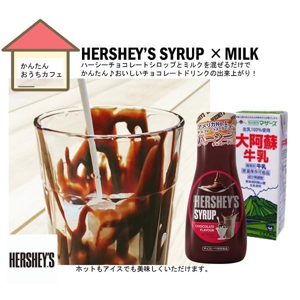 HERSHEY'S（ハーシー） チョコレートシロップ 260g×6本 セット販売