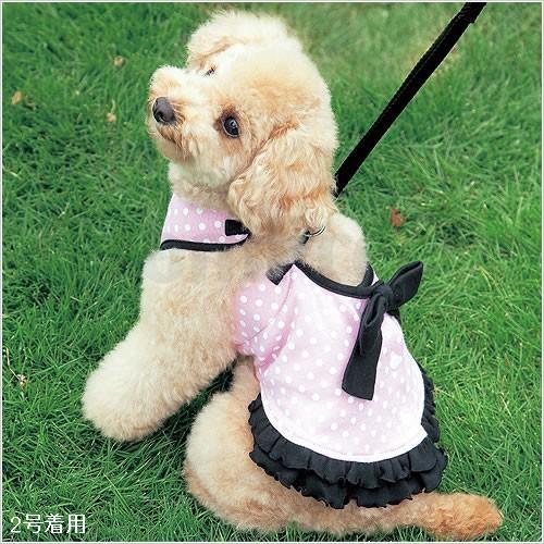 【50％OFF】リボン付きドットドレス　1〜3号（9595）　スーパー胴輪＆リード　ポンポリース |  | 01