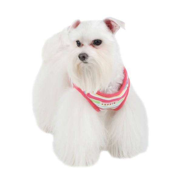 【50％OFF】【PUPPIA】レインボー胴輪（ハーネス）　S〜L(AH511) |  | 01