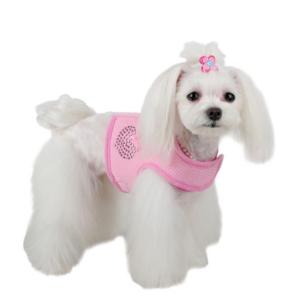 【50％OFF】【PINKA　ピンカホリック】POLKA　DOT　PINKA胴輪　XS〜M |  | 02