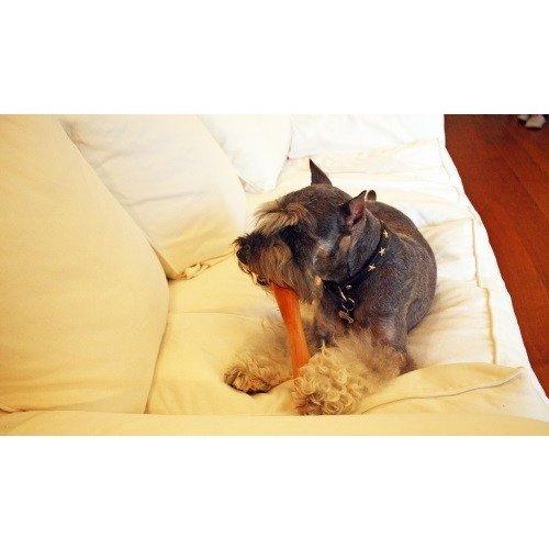 the original フェッチ　ミニ |  | 01