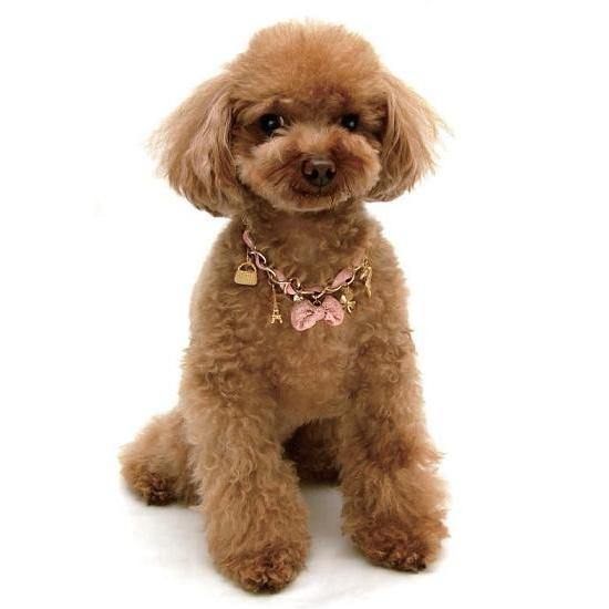 犬用ネックレス】サテンとリボンネックレス : Pet Healing(ペット