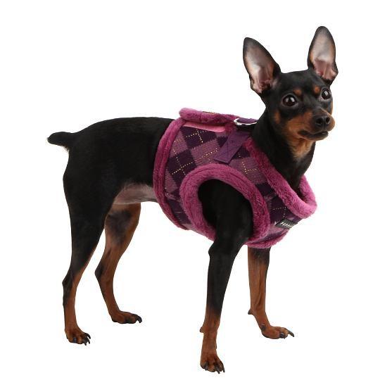 【50％OFF】 【ＰＵＰＰＩＡ】アーガイルモード胴輪（ハーネス）　S〜L (AH916) |  | 01