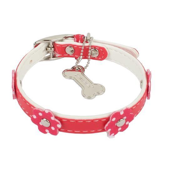 【50%OFF】【PINKA】ベイビーカラー　S |  | 01