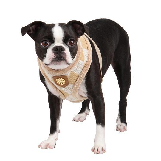 【50％OFF】【PUPPIA】アーガイルモードライトフィット胴輪（ハーネス）　S〜L |  | 01