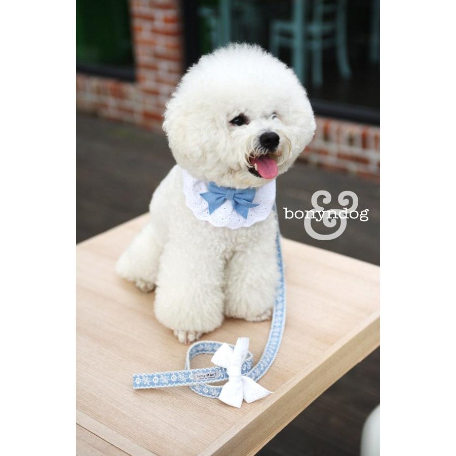 【30％OFF】bonyndog　デニムリボンのホワイトレース カラー＆リードセット　XS〜XL |  | 01