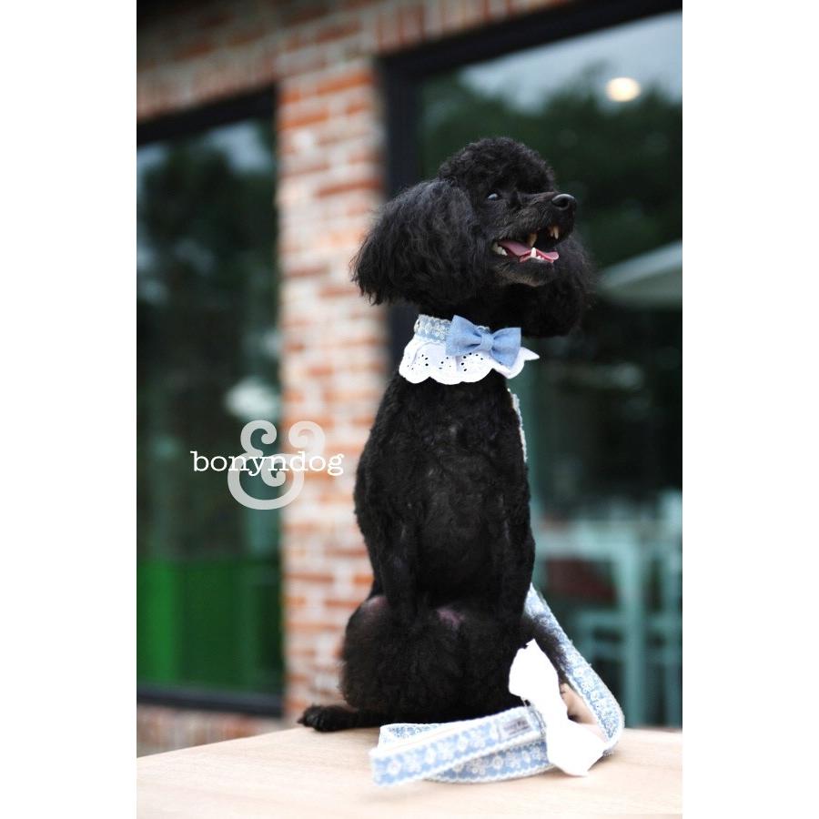 【30％OFF】bonyndog　デニムリボンのホワイトレース カラー＆リードセット　XS〜XL |  | 02