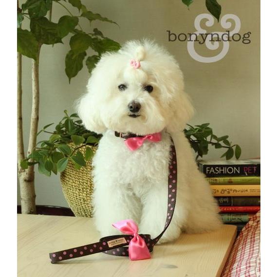 【30％OFF】bonyndog　チョコドットリボン　 カラー＆リードセット　S・L |  | 02