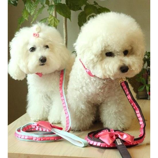 【50％OFF】bonyndog　サテンレース（ミント）　 カラー＆リードセット　XS〜XL |  | 02