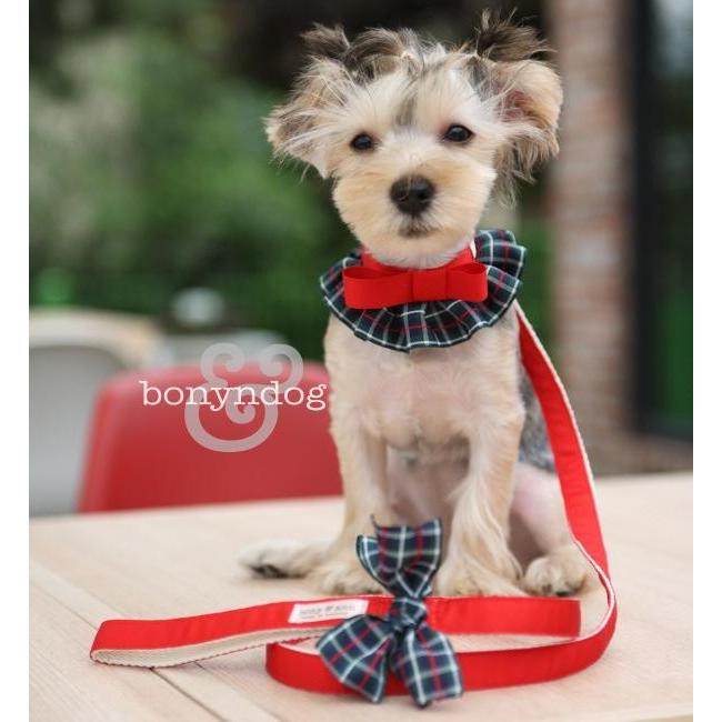 【50％OFF】bonyndog　タータンチェック（レッド）　フリルカラー＆リードセット　S〜L |  | 01