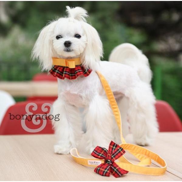 【50％OFF】bonyndog　タータンチェック（オレンジ）　フリルカラー＆リードセット　XS〜Ｍ　 |  | 01