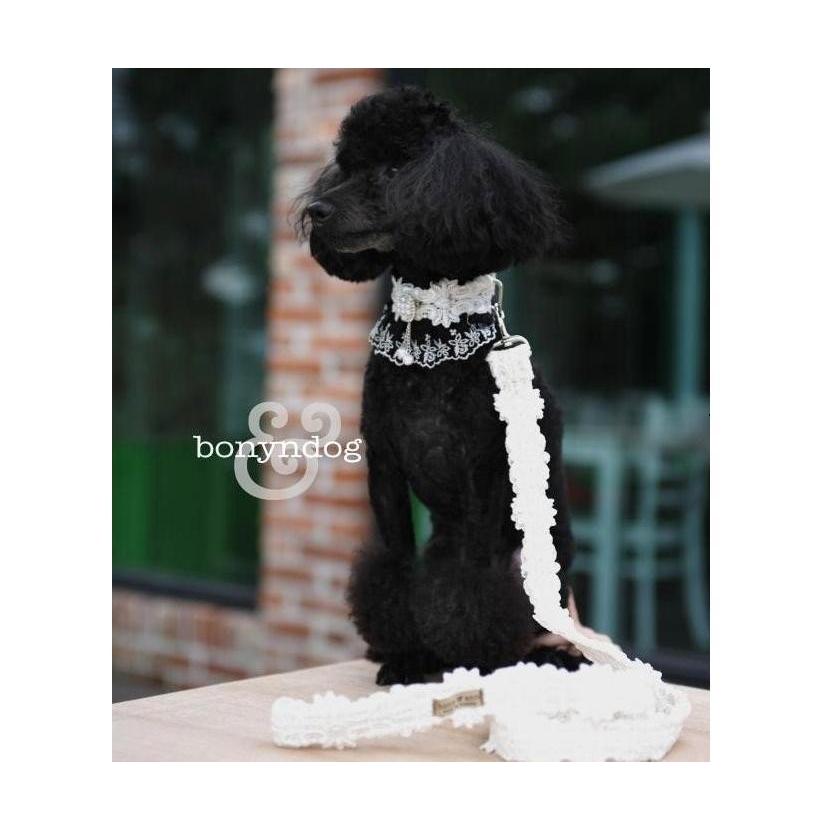 bonyndog　peal ラグジュアリーレース カラー＆リードセット　S〜XL　 |  | 01