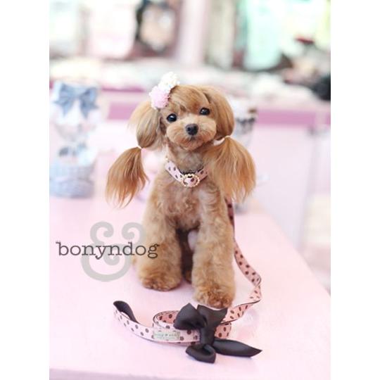 【30％OFF】bonyndog　berry brownie  カラー＆リードセット　S・L　 |  | 02