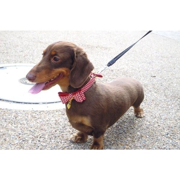 【50％OFF】【RADICA*ラディカ】エナメルの水玉リボンカラー　M（R5005）　犬　首輪 |  | 01