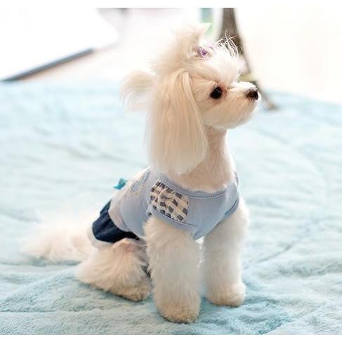 ローズマリーパンツワンピース ｓ Xｌ 犬 服 Pet Healing ペットヒーリング 通販 Yahoo ショッピング