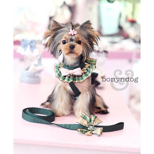 【30％OFF】bonyndog　タータンチェック（カーキ）　ハーネス＆リードセット　S〜L　 | 