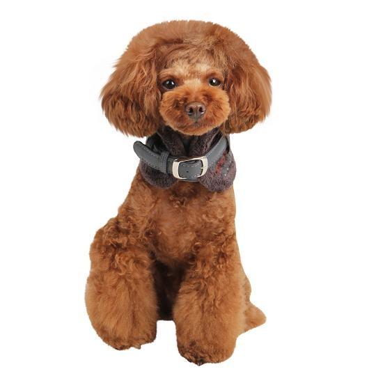 【50%OFF】【PINKA】TWILIGHT ネックガードカラー（犬用首輪）　S (AC650) |  | 01