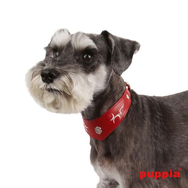 【50%OFF】【ＰＵＰＰＩＡ】クーパーカラー（犬用首輪）　Ｌ |  | 02