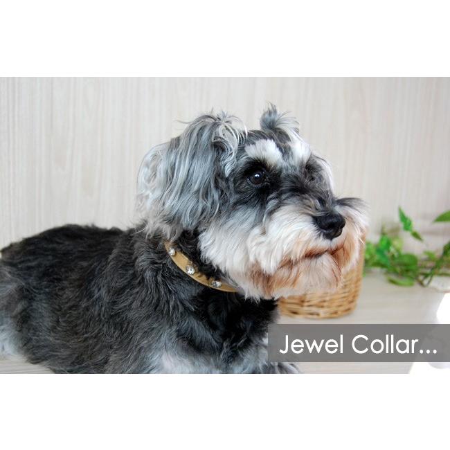 【50％OFF】【RADICA*ラディカ】エナメルのラインストーンカラー　M（55011）　犬　首輪 |  | 01