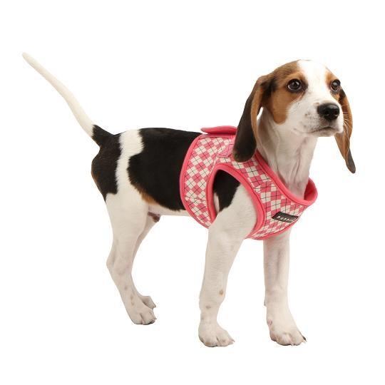 【50％OFF】【ゆうパケット可】【PUPPIA】MYSTICAL胴輪（ハーネス）　S〜L(AH131) |  | 02