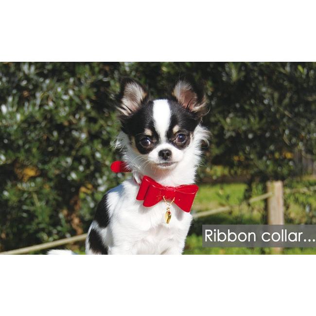 50％OFF】【RADICA*ラディカ】エナメルのリボンカラー M （55010）犬