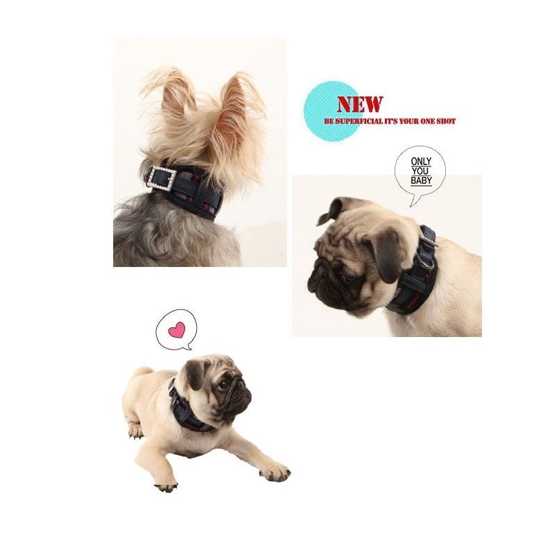 【50%OFF】【PUPPIA】VOGUE ネックガードカラー（犬用首輪）M （AC142） |  | 02