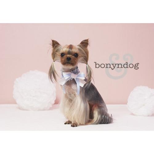 bonyndog デニムリボン チョーカー S・L : Pet Healing(ペット
