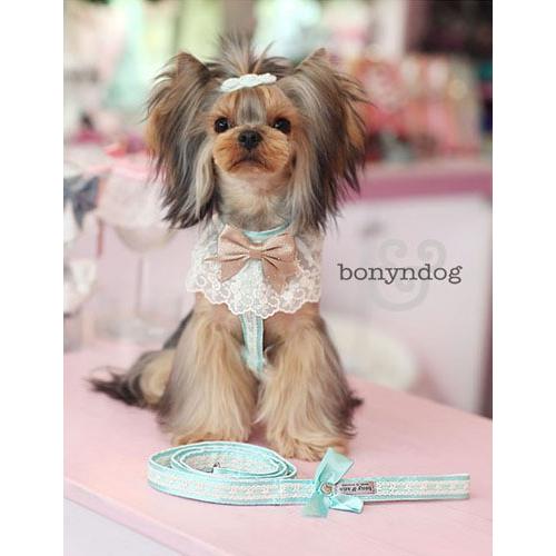 bonyndog　josephineレース  ハーネス＆リードセット　S・L | 