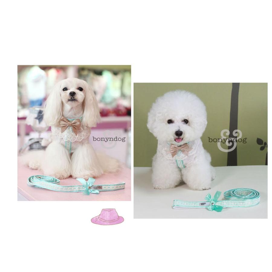bonyndog　josephineレース  ハーネス＆リードセット　S・L |  | 02