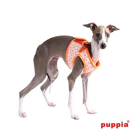 【50%OFF】【PUPPIA:パピア】COSMIC胴輪（ハーネス）　XS〜L (AH1232) |  | 01