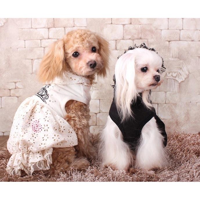 ティアラレースワンピース　S〜L　犬　服 |  | 02