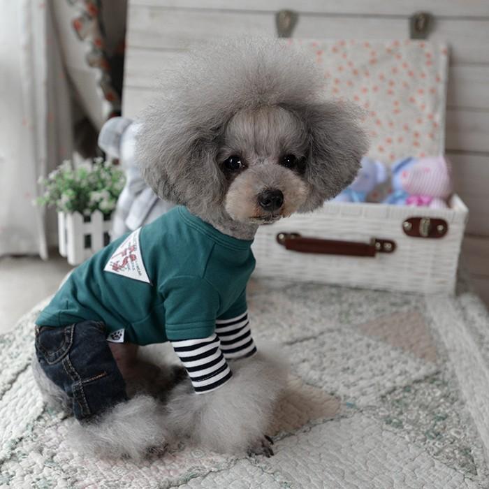 ボーダー重ね着風 長袖Tシャツ XS〜XL（犬 長袖Tシャツ・ハンガー