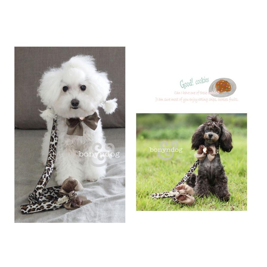 【30％OFF】スエードレオパード　カラー＆リードセット　S・L |  | 02