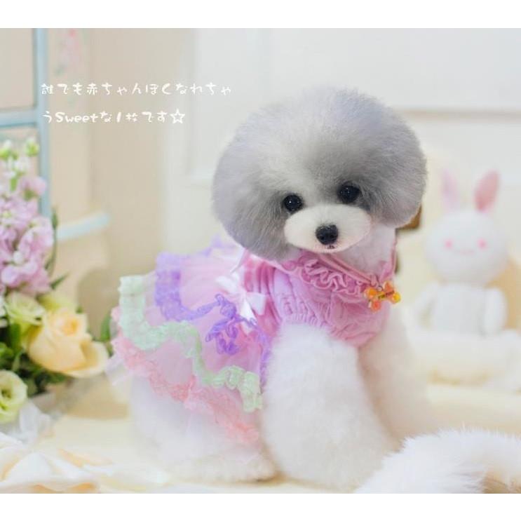 リボンの3段レースワンピ（ハンガー無）　ＸＳ〜ＸＬ 犬 春夏服 |  | 01