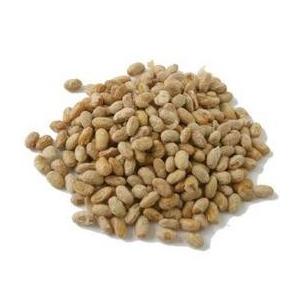 （メール便）フリーズドライ納豆　30g　犬　おやつ |  | 01