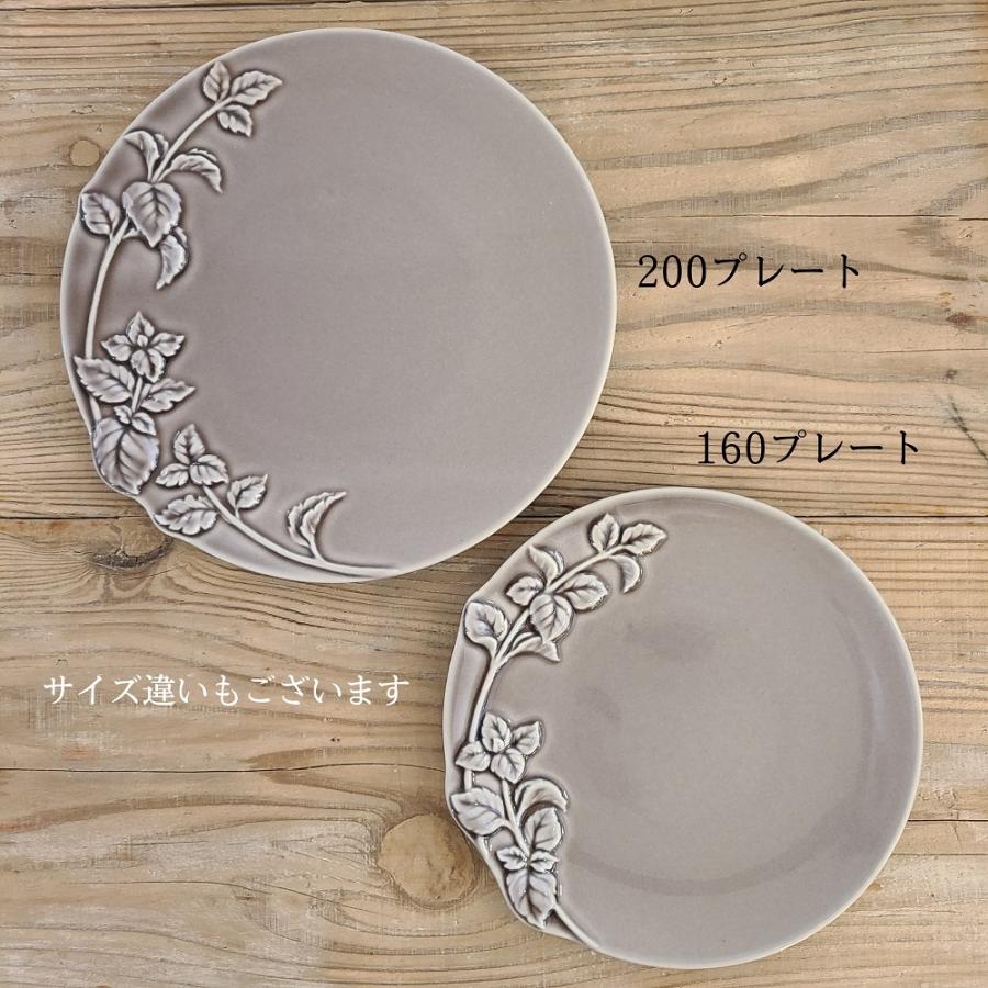 studio m' スタジオm スタジオエム グリーズ 220 プレート ガティ プレート